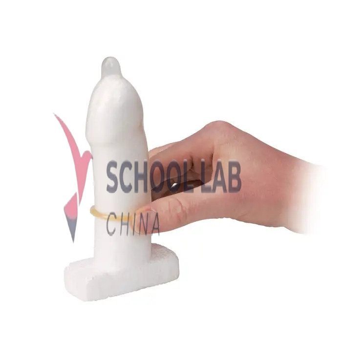 Condom Training Model - Pack of 20